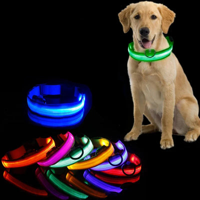 Glow-In-The-Dark Dog Collar