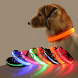 Glow-In-The-Dark Dog Collar