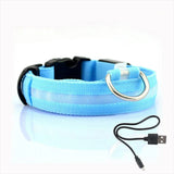 Glow-In-The-Dark Dog Collar