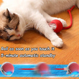 Playful Paws Cat Ball Duo