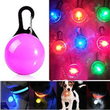 Bright Night Pet Necklace