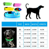Glow-In-The-Dark Dog Collar