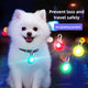 Bright Night Pet Necklace