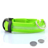 Glow-In-The-Dark Dog Collar