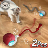 Playful Paws Cat Ball Duo