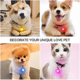 Bright Night Pet Necklace