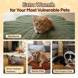 Heated Pet Pad for Dogs & Cats