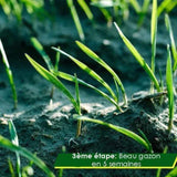 Rouleau de gazon biodégradable